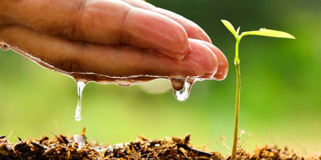 Puntos que determinan si eres responsable con el medio ambiente