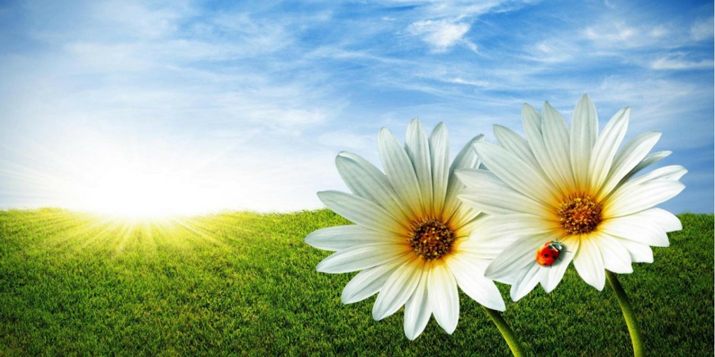 Prepara tu aire acondicionado para esta primavera