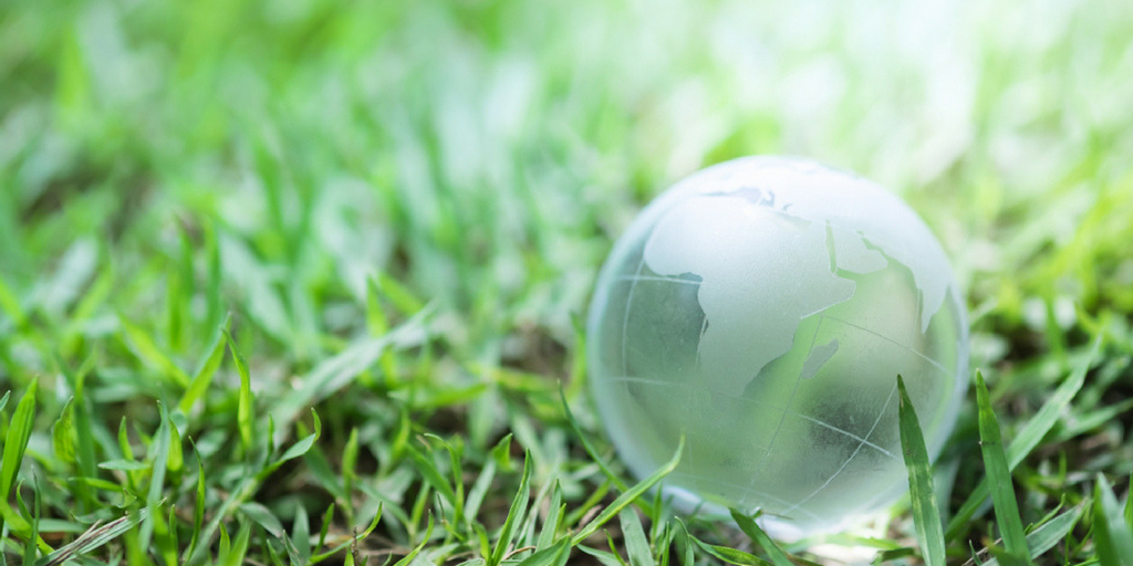 5 acciones para cuidar el medio ambiente este verano