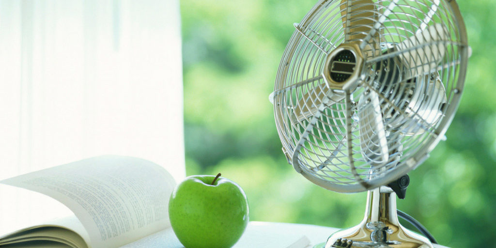 Trucos para mejorar la calidad del aire de tu casa de forma natural