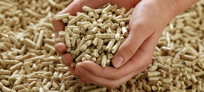 ¿Qué es y cómo comprar el mejor pellet?