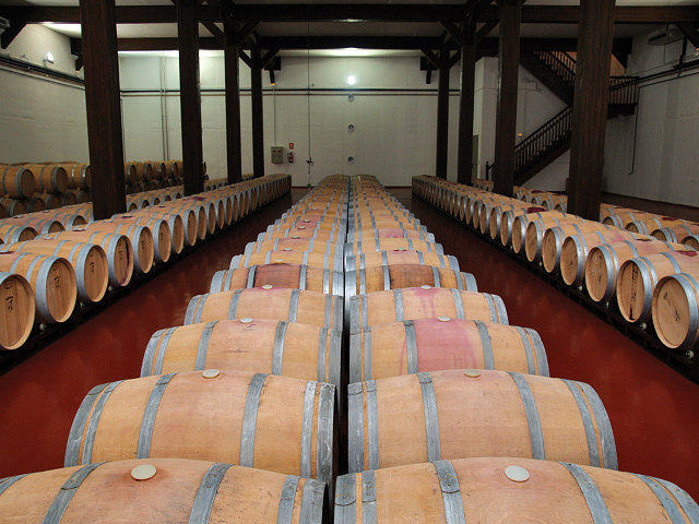 ¿Cómo controlar la temperatura y la humedad en las bodegas?