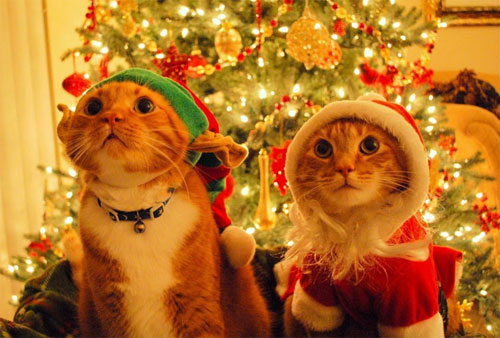 5 trucos para ahorrar luz y calefacción esta Navidad